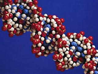 В США объявлен конкурс на доступный способ расшифровки генома человека