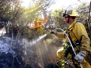 Противопожарные службы Калифорнии продолжают борьбу с огнем в лесах близ города Палм-Спрингс