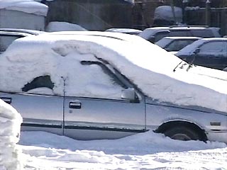 В Центральной части России, в Московском регионе в субботу выпадет снег, местами сильный