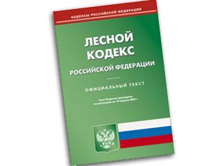 Госдума на пленарном заседании в среду приняла в третьем чтении новую редакцию Лесного кодекса РФ