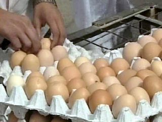 Согласно новой директиве Европейского Союза, с первого января 2007 года крупнейшие эстонские производители мяса птицы не будут больше мыть яйца перед тем как упаковать их для продажи