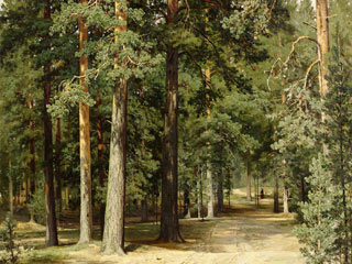 Представленная в этом году картина Ивана Шишкина "Освещенный солнцем лесной пейзаж с идущей женщиной" была продана в среду за 5,6 млн крон