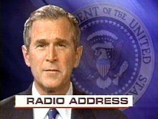 Буш призвал американцев преодолеть политические разногласия ради победы в Ираке
