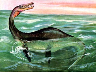 Группа аргентинских и американских исследователей объявила о находке в Антарктиде прекрасно сохранившегося молодого плезиозавра, обитавшего в морях примерно 70 миллионов лет назад