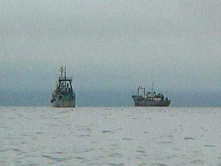 Опознаны тела двух членов экипажа российского судна, пропавшего в Балтийском море