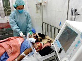 В Египте зафиксированы три новых случая заражения человека "птичьим гриппом"