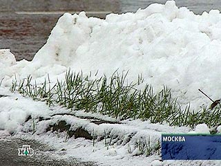Зима придет в центральную Россию на следующей неделе  