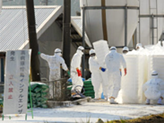 Причиной гибели кур в Японии на прошлой неделе стал заразный для человека штамм H5N1, сообщило во вторник министерство земледелия, лесоводства и рыболовства