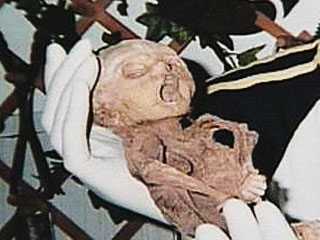 В американском городе Делрей Бич (штат Флорида) на складе обнаружены частично мумифицированные останки мальчика, завернутые в газету The Daily Times, датированную 9 января 1957 года