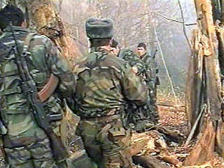 У российских спецслужб есть данные, что на территории Панкисского ущелья Грузии по-прежнему скрываются участники бандформирований