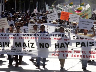 В Мексике прошла миллионная демонстрация против повышения цен на продукты питания