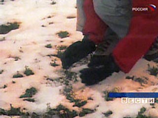 31 января в пяти районах Омской области (Тарском, Седельниковском, Знаменском, Тюкалинском и Колосовском) на общей площади в полторы тысячи квадратных километров выпал снег со светло-желтым и оранжевым тонами