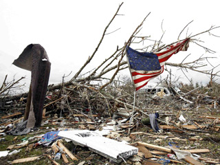 От торнадо во Флориде погибли 18 особей американского белого журавля