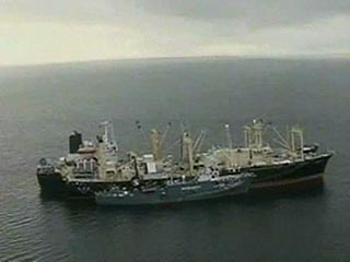 Корабль организации Greenpeace вышел на помощь терпящему бедствие японскому китобойному судну Nisshin Maru, чтобы в том числе отбуксировать его от заповедника пингвинов, но японцы отказываются от его услуг