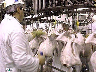 На импорт птичьего мяса из России в Азербайджан введен запрет