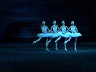 "Лебединое озеро" стало не только самым знаменитым спектаклем, но и самым политизированным балетом в мире, "зеркалом русской жизни", или, вернее, "российского качества"