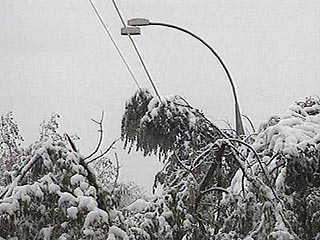 Вечером 24 февраля в столице Республике Алтай - Горно-Алтайске - выпал снег серого цвета