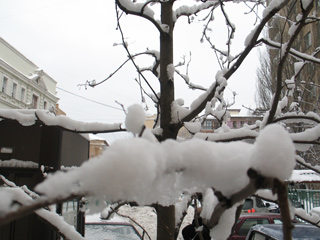 Содержание опасных для организма человека веществ в московском талом снеге превышает норму