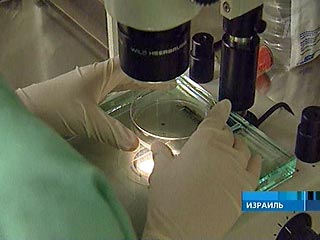 В Израиле участились случаи заражения новым штаммом бактерии Klebsiella pneumoniae, невосприимчивым к большинству антибиотиков. По данным врачей, около 150 пациентов больниц заразились вирусом, примерно 30% из них скончались
