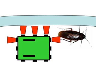Появилась первая модель робота-таракана: его придумали для борьбы со своими прототипами