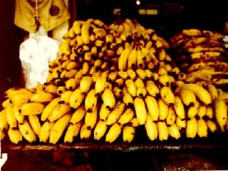 Банановая компания из США заплатит 25 млн долларов за сотрудничество с кокаиновыми террористами