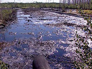 Неочищенными стоками загрязняется большинство водных объектов России