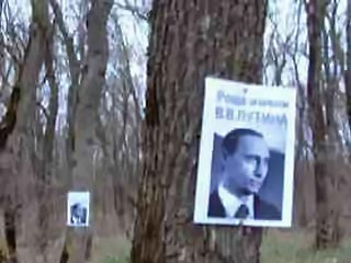 На Ставрополье местные жители, борясь с вырубками, присвоили роще имя Путина