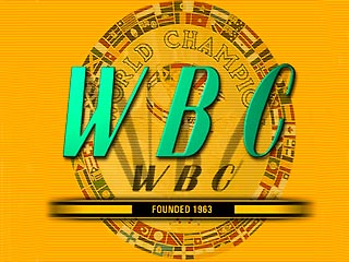 WBC планирует разбить боксеров на классы  