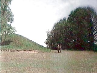 В Белоруссии неизвестные незаконно раскопали пять курганов древних веков 