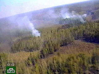 На Дальнем Востоке зафиксирован 21 лесной пожар на площади почти 1670 гектаров