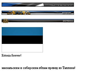 С сайта организации "Ночной дозор", проводившей массовые акции протеста против переноса Бронзового солдата с площади Тынисмяги, была удалена вся информация, а вместо нее размещены баннеры цветов эстонского флага с надписями Proud be estonian и Estonia for