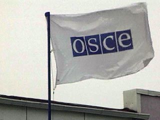 Постпред РФ в ОБСЕ: эта организация предвзята, не считается с Россией и стоит за "цветными революциями"