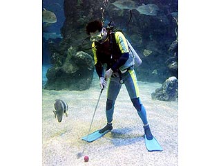 В Китае состоялся первый в мире турнир по подводному гольфу