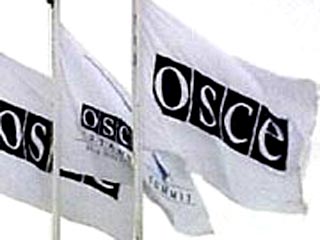 Организации по безопасности и сотрудничестве в Европе (ОБСЕ)