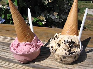 На празднике мороженого в столичном парке "Сокольники", который открылся 3 июня для посетителей уже в 10 часов утра, будет представлено 50 видов мороженого и съедено не менее 20 тонн холодного лакомства