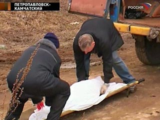 На Камчатке составлен фоторобот подозреваемого в убийстве 3-летней Ксении Егоровой	