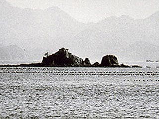 В Японии из-за нашествия ракообразных разрушается скалистый остров, расположенный недалеко от побережья города Хигаси-Хиросима на западе страны