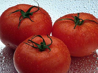 В Израиле с помощью генной инженерии выведены новые сорта помидоров с различными вкусами