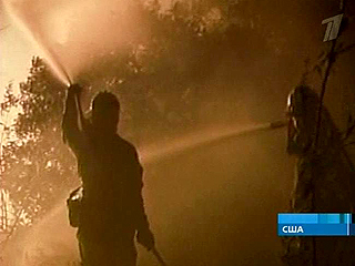 В Калифорнии четвертый день пылают леса: сгорели 250 домов, продолжается эвакуация людей