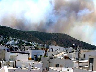 Сильный лесной пожар, вспыхнувший в субботу на юге Турции, угрожает курорту Бодрум на побережье Эгейского моря