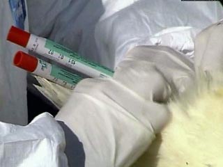 В Чехии выявили неизвестную разновидность вируса "птичьего гриппа"