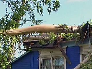 В пятницу вечером над тремя селами - районным центром Черниговка, Дмитриевка и Меркушевка - пронесся ураганный ветер, прошел сильный дождь. В результате были повалены десятки деревьев, повреждены крыши 22 домов
