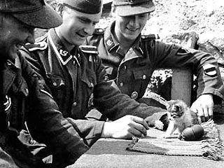 Эстонские ветераны, воевавшие в гитлеровской армии, призвали считать их участие в войне на немецкой стороне вкладом в борьбу за свободу и демократию