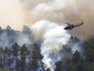 Никакого оттока российских туристов в связи с  лесными пожарами с Канарских островов не наблюдается