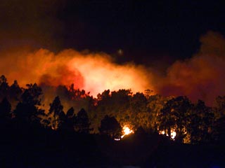 В Европе бушуют лесные пожары, огнем охвачены большие массивы в Италии, Испании, Болгарии, Черногории, Сербии, Румынии, Греции