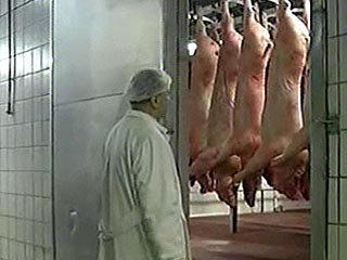 В Россию запрещен ввоз животноводческой продукции из Британии из-за вспышки ящура