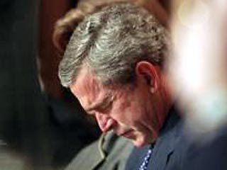 Буша искусали клещи. У него также кружится голова, но это не влияет на работоспособность президента