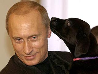 Посмотреть на голограмму Владимира Путина можно группой не более 5 человек и за 500 рублей
