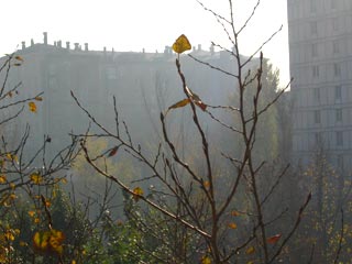 Москву в ближайшее время может накрыть смог, который принесут воздушные массы с востока
