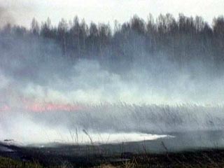 Высокая пожарная опасность в связи с жарой и засухой в ближайшие дни ожидается почти на всей европейской территории России